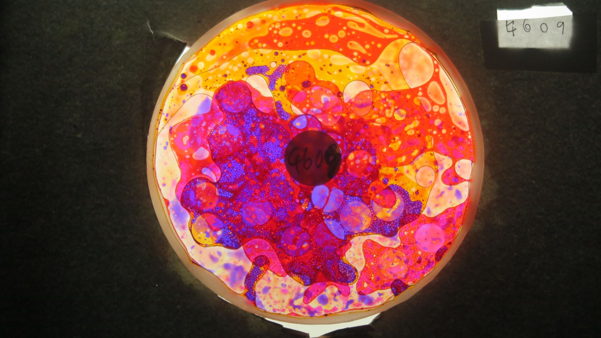 BV4609 bubble vision oil wheel